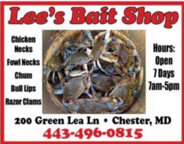 Lee's bait hotsell